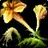 Bountiful Harvest (Legacy) icon. View file details and attribution.